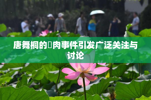 唐舞桐的婬肉事件引发广泛关注与讨论