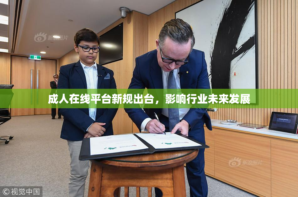 成人在线平台新规出台，影响行业未来发展