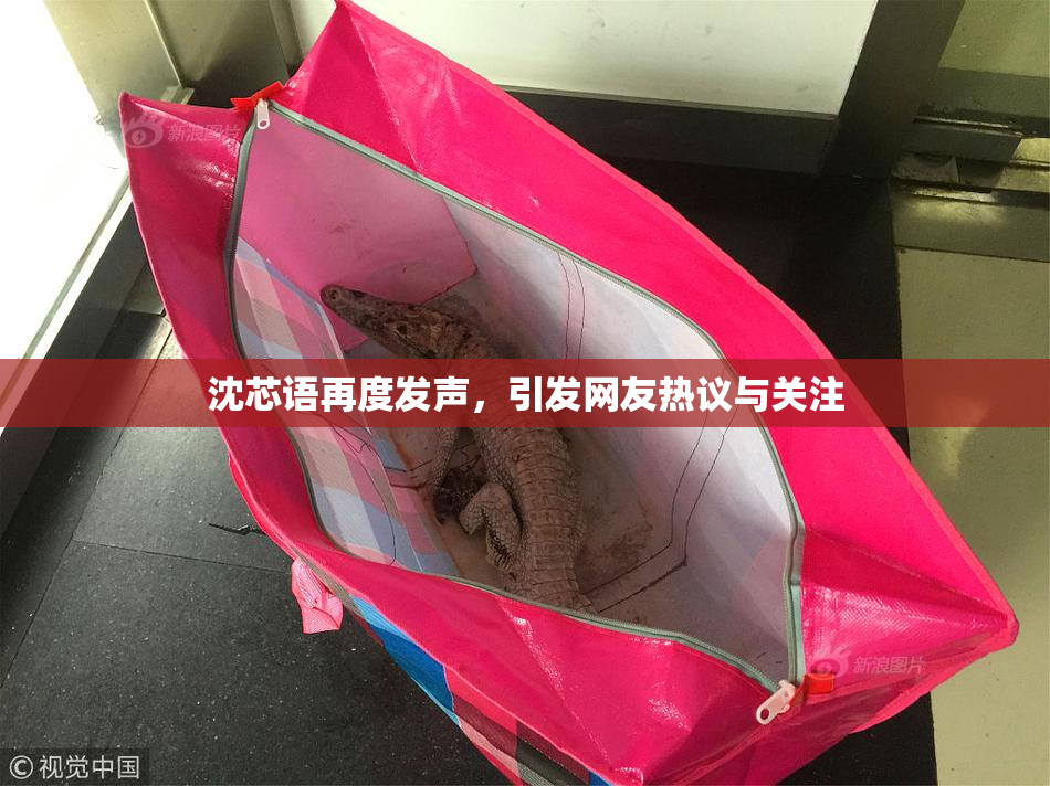 沈芯语再度发声，引发网友热议与关注