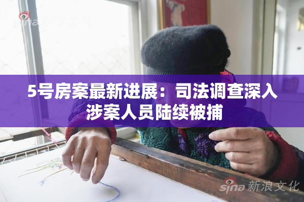 5号房案最新进展：司法调查深入 涉案人员陆续被捕