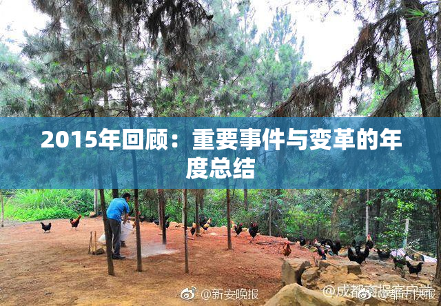 2015年回顾：重要事件与变革的年度总结