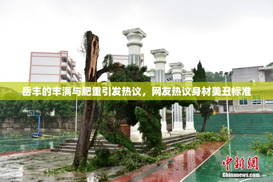 岳丰的丰满与肥重引发热议，网友热议身材美丑标准