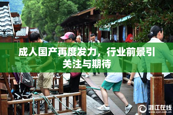 成人国产再度发力，行业前景引关注与期待