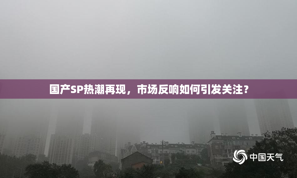 国产SP热潮再现，市场反响如何引发关注？