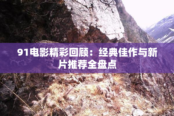 91电影精彩回顾：经典佳作与新片推荐全盘点