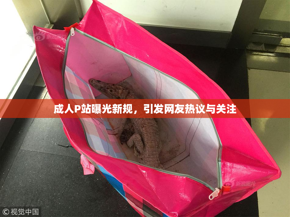 成人P站曝光新规，引发网友热议与关注