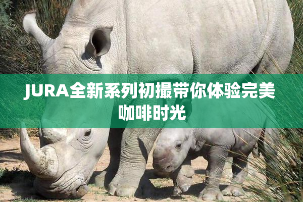 JURA全新系列初撮带你体验完美咖啡时光
