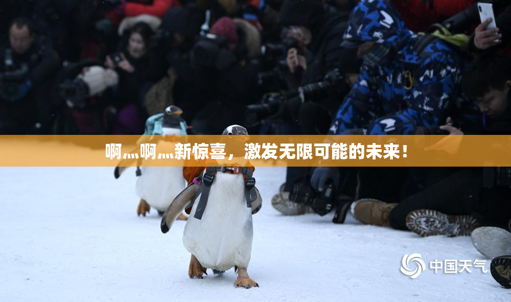 啊灬啊灬新惊喜，激发无限可能的未来！
