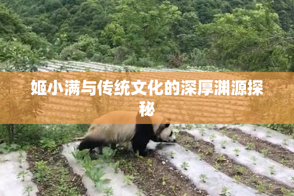 姬小满与传统文化的深厚渊源探秘