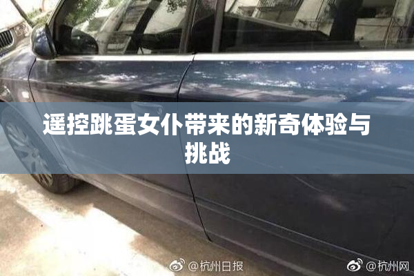 遥控跳蛋女仆带来的新奇体验与挑战