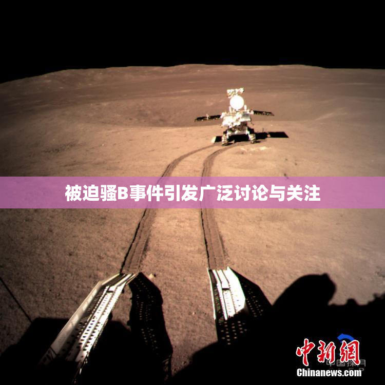 被迫骚B事件引发广泛讨论与关注