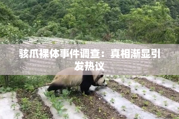 骇爪裸体事件调查：真相渐显引发热议