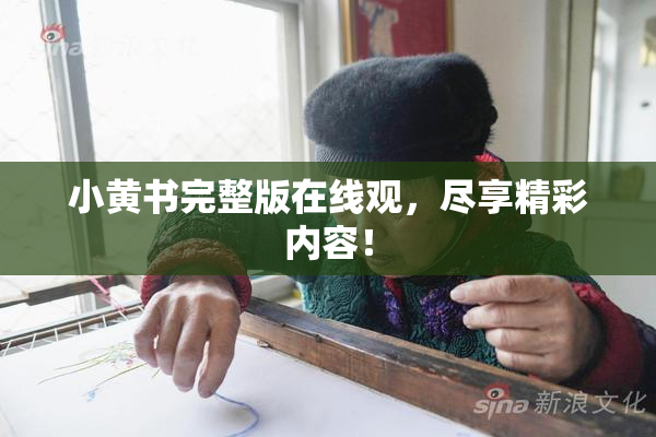 小黄书完整版在线观，尽享精彩内容！