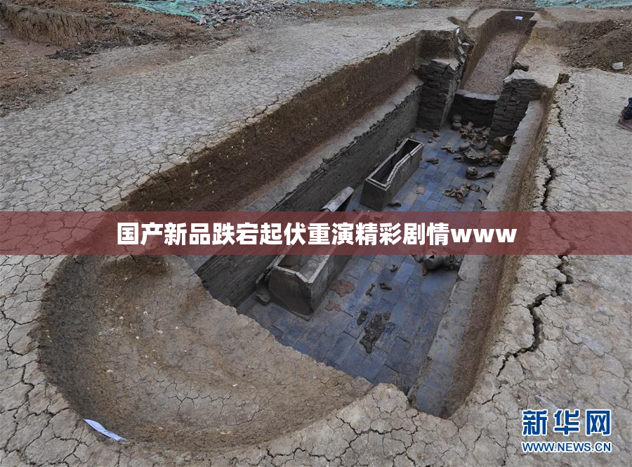 国产新品跌宕起伏重演精彩剧情www