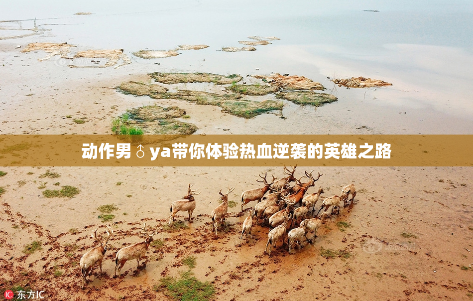 动作男♂ya带你体验热血逆袭的英雄之路