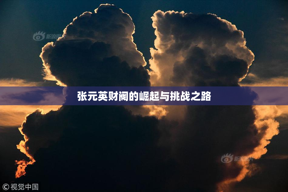 张元英财阀的崛起与挑战之路