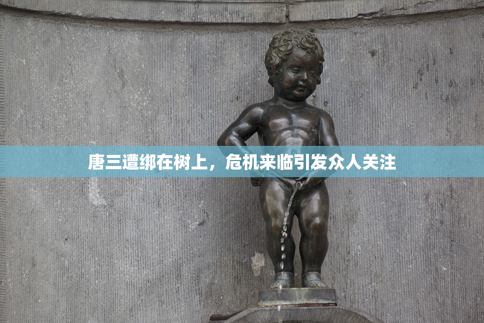 唐三遭绑在树上，危机来临引发众人关注