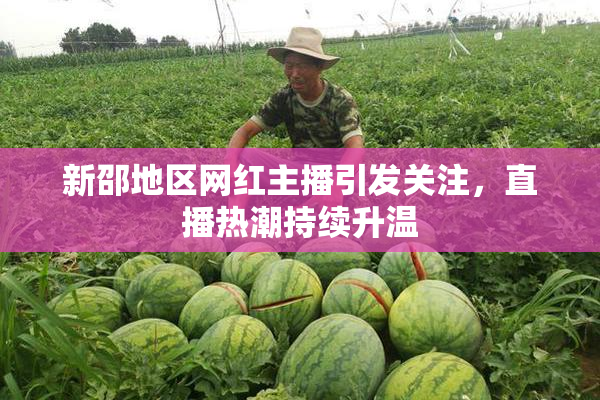 新邵地区网红主播引发关注，直播热潮持续升温
