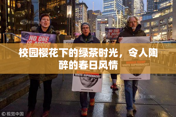 校园樱花下的绿茶时光，令人陶醉的春日风情
