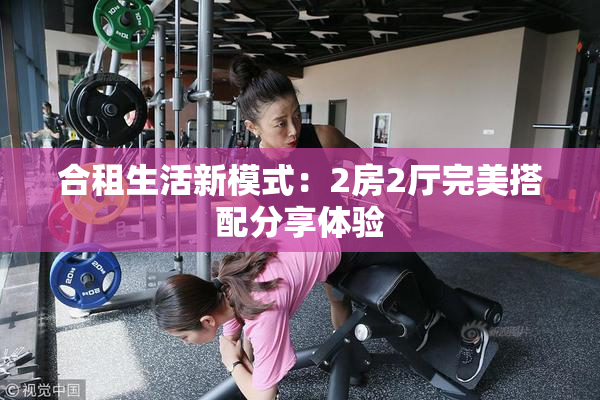 合租生活新模式：2房2厅完美搭配分享体验