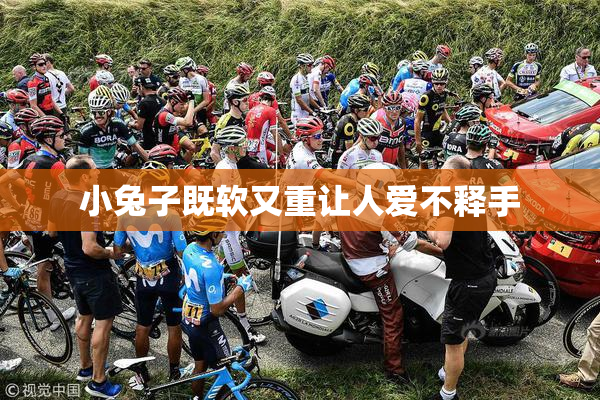 小兔子既软又重让人爱不释手