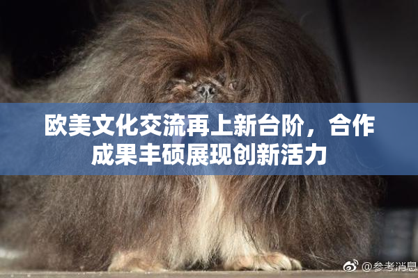 欧美文化交流再上新台阶，合作成果丰硕展现创新活力