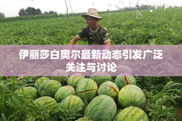 伊丽莎白奥尔最新动态引发广泛关注与讨论