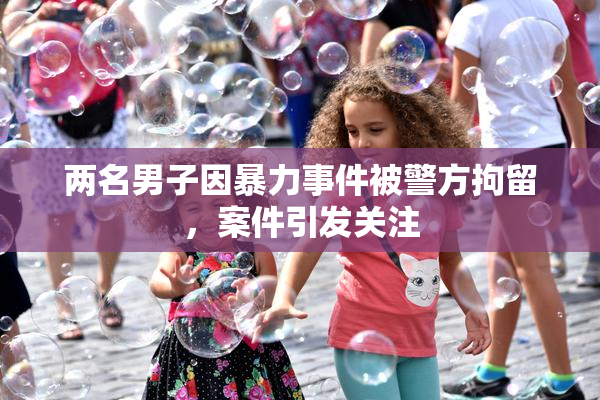 两名男子因暴力事件被警方拘留，案件引发关注