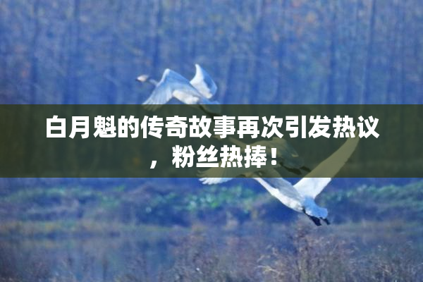 白月魁的传奇故事再次引发热议，粉丝热捧！