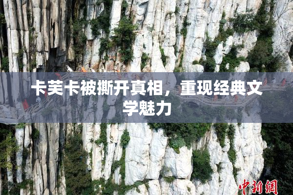 卡芙卡被撕开真相，重现经典文学魅力