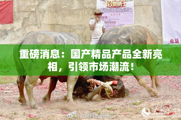 重磅消息：国产精品产品全新亮相，引领市场潮流！