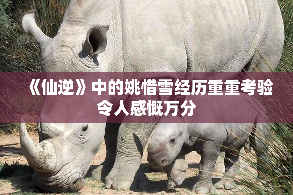 《仙逆》中的姚惜雪经历重重考验令人感慨万分