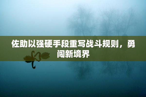 佐助以强硬手段重写战斗规则，勇闯新境界