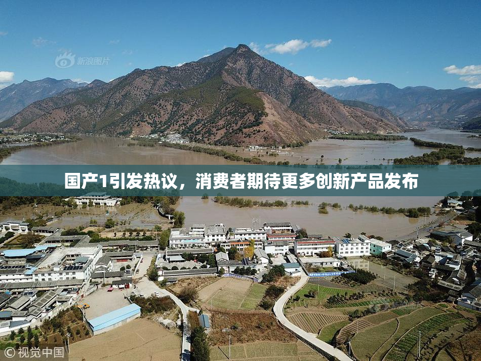 国产1引发热议，消费者期待更多创新产品发布