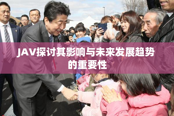 JAV探讨其影响与未来发展趋势的重要性