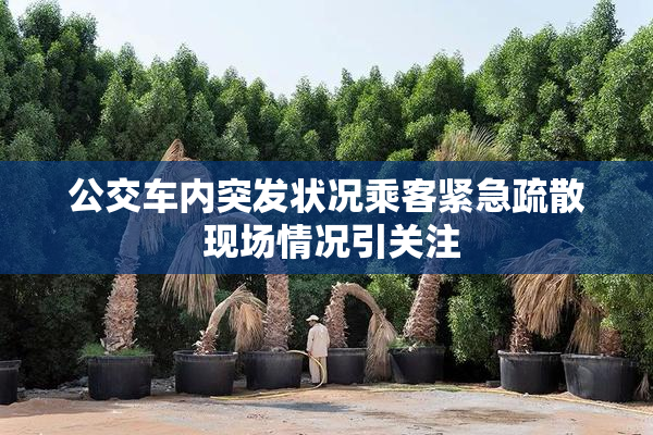 公交车内突发状况乘客紧急疏散 现场情况引关注