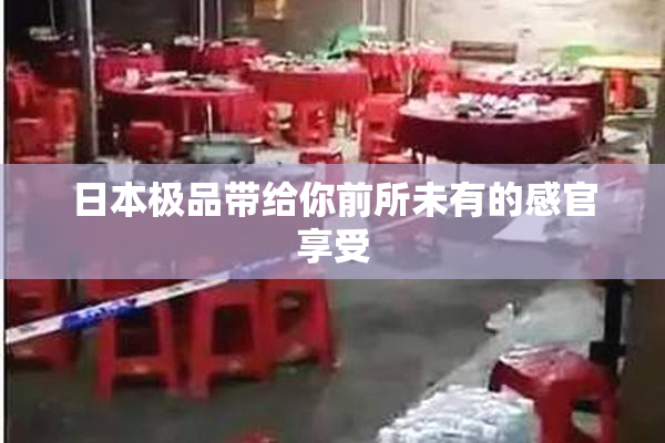 日本极品带给你前所未有的感官享受