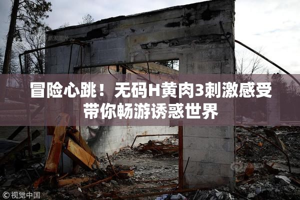 冒险心跳！无码H黄肉3刺激感受带你畅游诱惑世界
