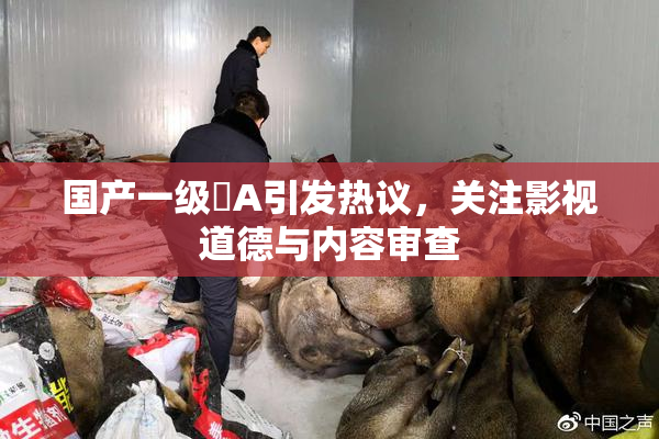 国产一级婬A引发热议，关注影视道德与内容审查