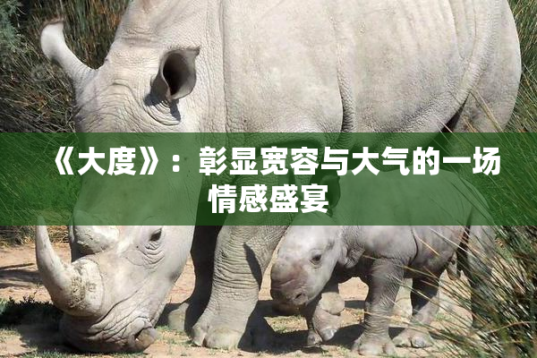 《大度》：彰显宽容与大气的一场情感盛宴