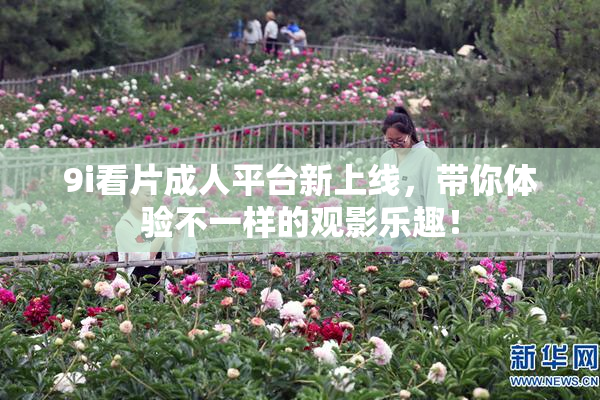 9i看片成人平台新上线，带你体验不一样的观影乐趣！