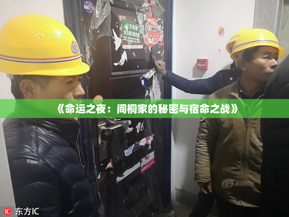 《命运之夜：间桐家的秘密与宿命之战》