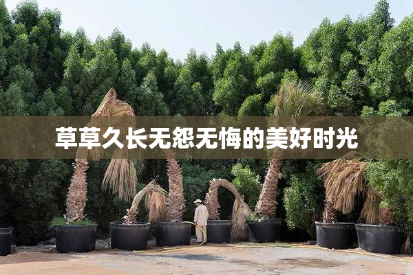 草草久长无怨无悔的美好时光