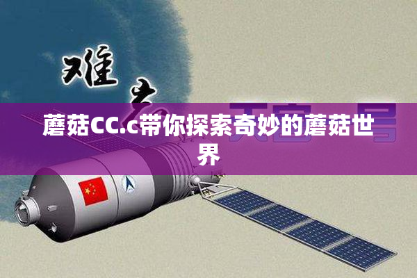 蘑菇CC.c带你探索奇妙的蘑菇世界