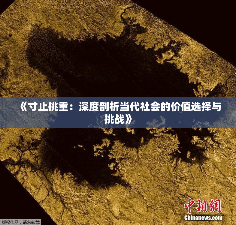 《寸止挑重：深度剖析当代社会的价值选择与挑战》