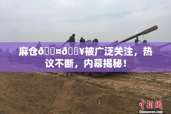 麻仓🖤🔥被广泛关注，热议不断，内幕揭秘！