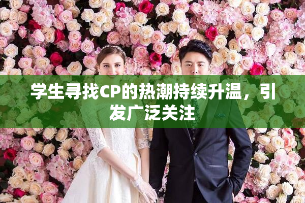学生寻找CP的热潮持续升温，引发广泛关注