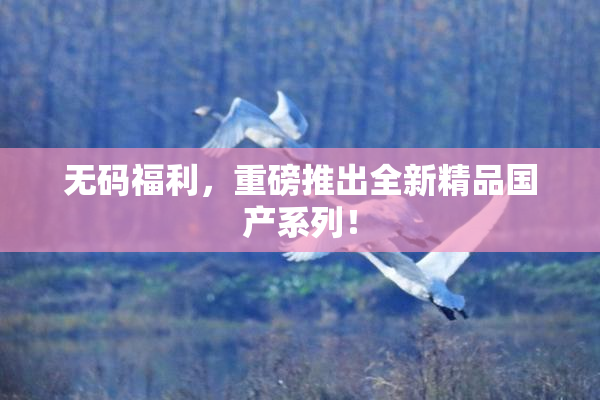 无码福利，重磅推出全新精品国产系列！