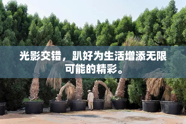 光影交错，趴好为生活增添无限可能的精彩。