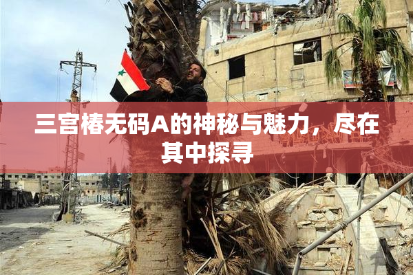 三宫椿无码A的神秘与魅力，尽在其中探寻